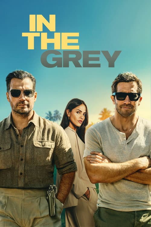 بوستر In the Grey