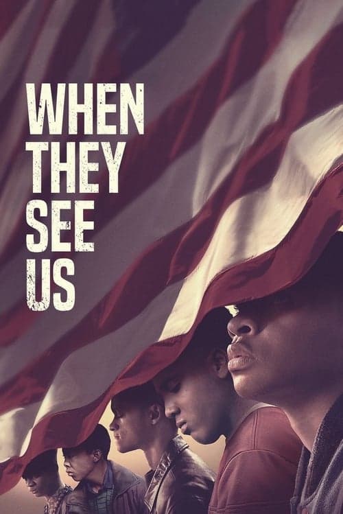 بوستر When They See Us