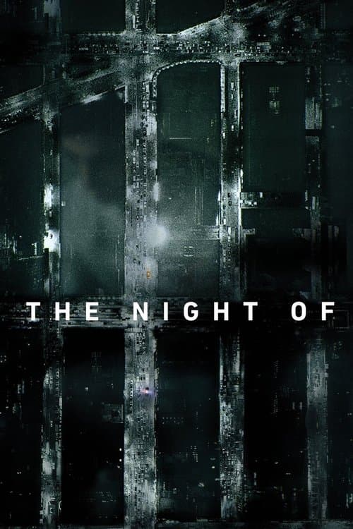 بوستر The Night Of