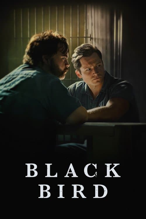 بوستر Black Bird